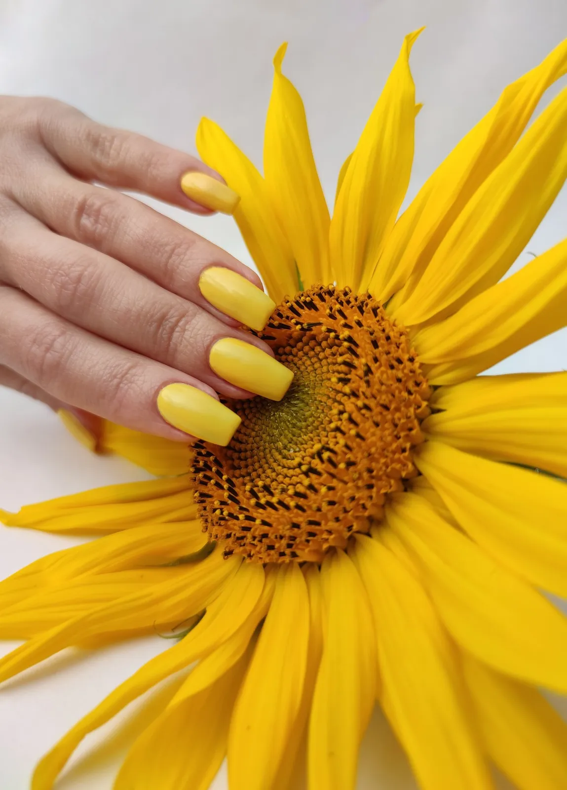 K3 Nails nail photo