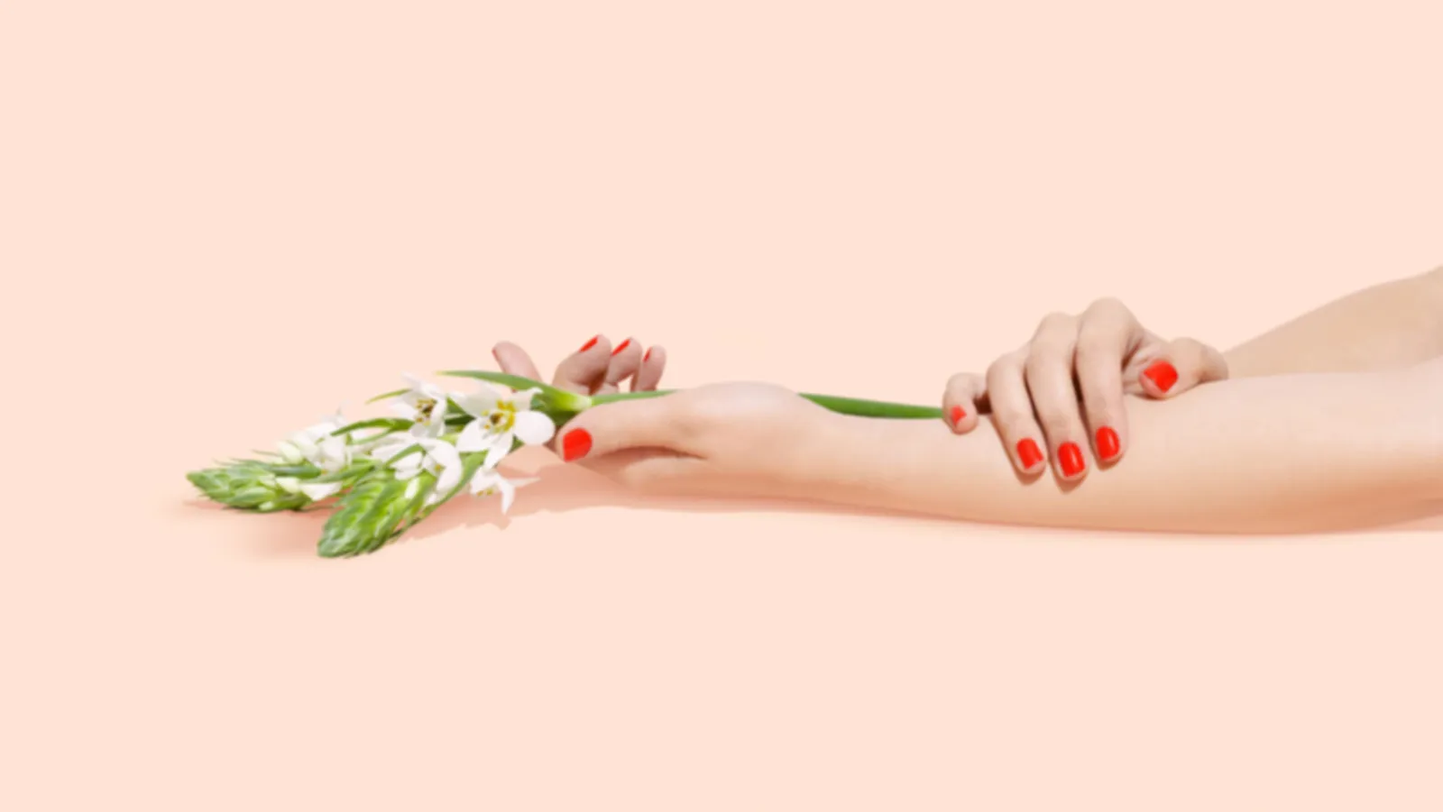 Peony Nail & Beauty Salon