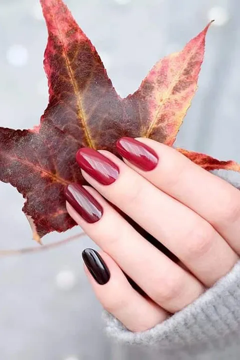 5 STARS HAIR & NAILS