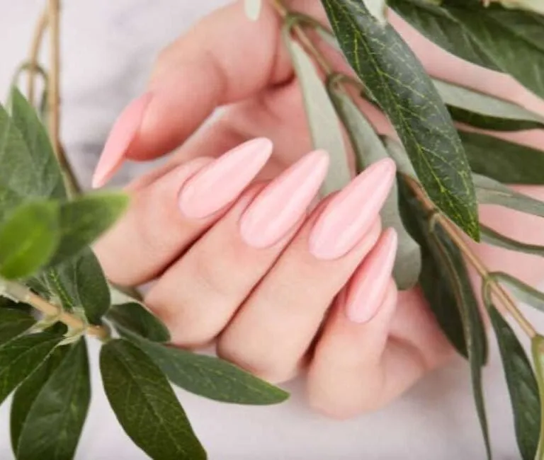 Lotus Nails San Jose