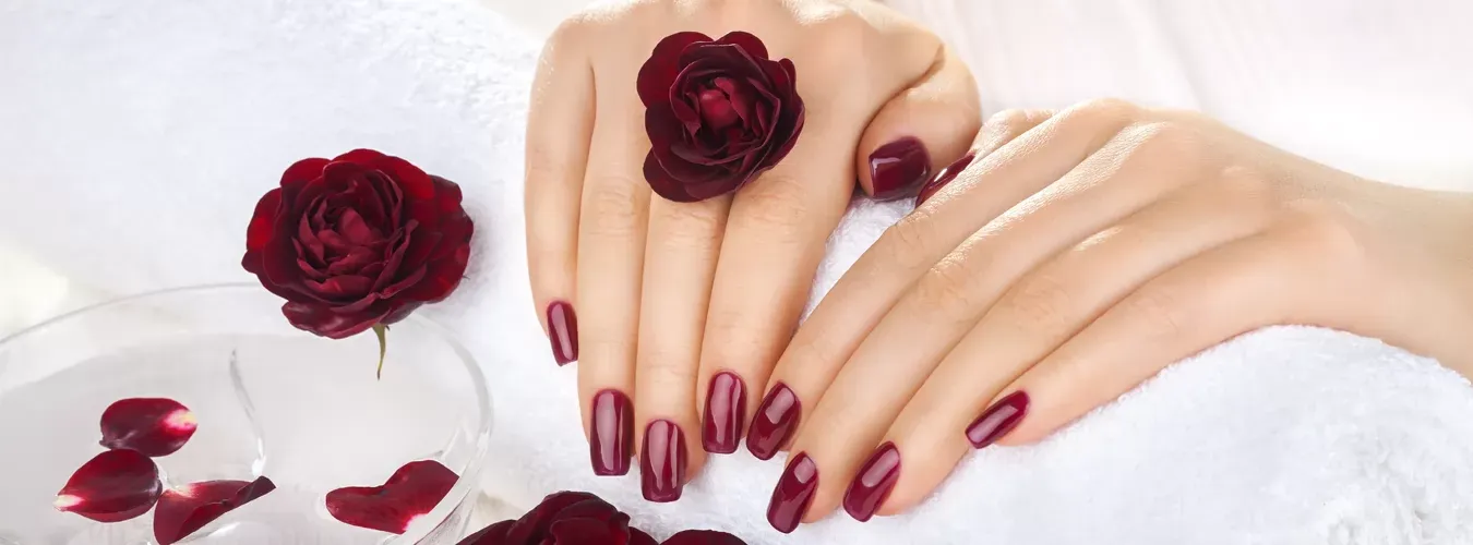 Yume Organic Nail Spa In San Jose