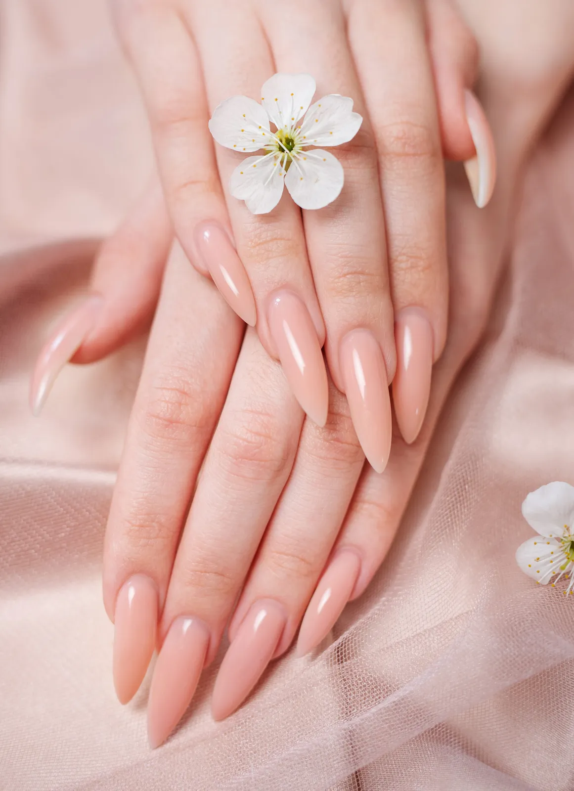 The Beauty Lounge