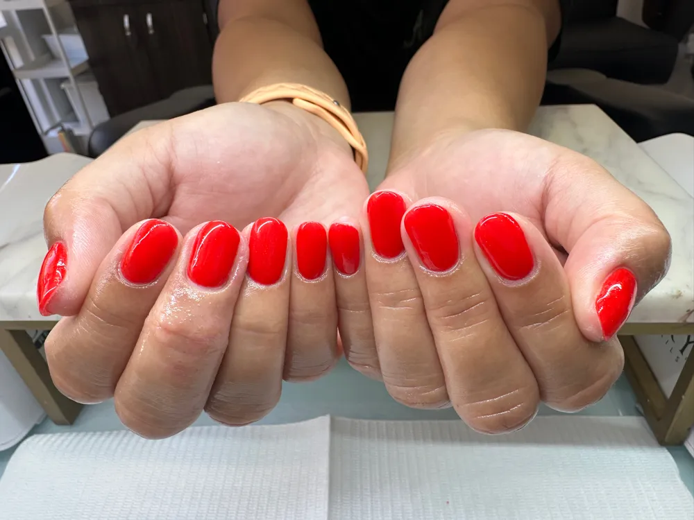 Artsylizie Nails